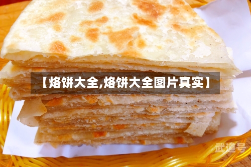 【烙饼大全,烙饼大全图片真实】