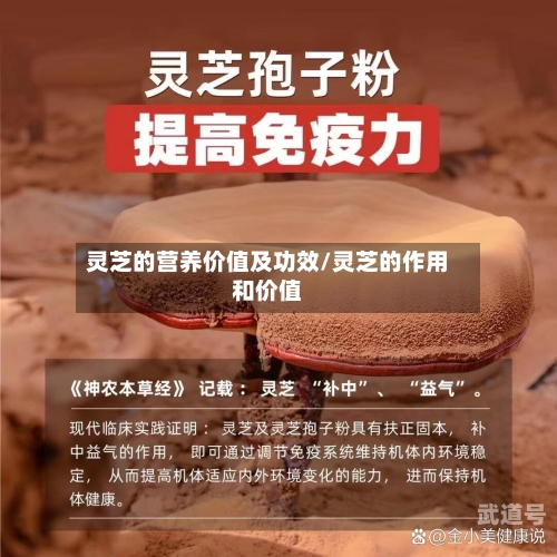 灵芝的营养价值及功效/灵芝的作用和价值