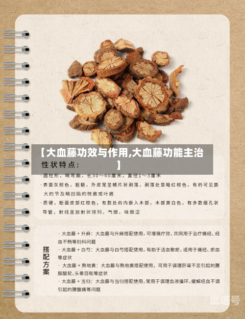 【大血藤功效与作用,大血藤功能主治】-第2张图片