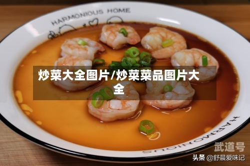 炒菜大全图片/炒菜菜品图片大全