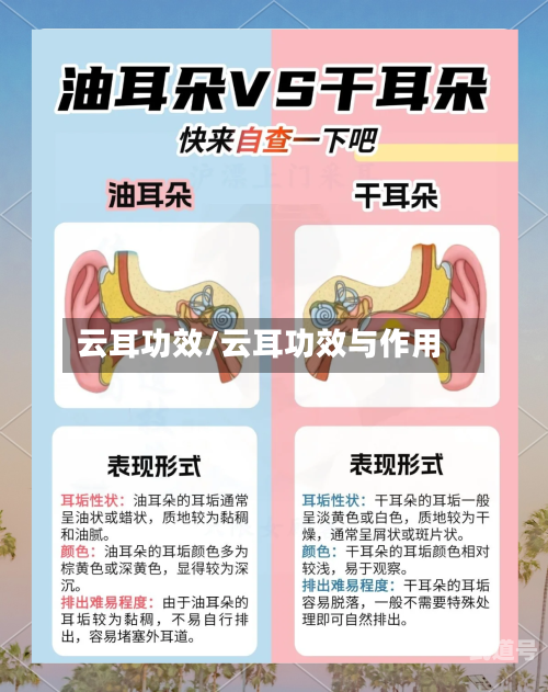 云耳功效/云耳功效与作用-第2张图片
