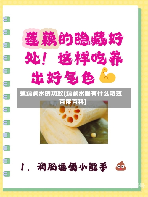 莲藕煮水的功效(藕煮水喝有什么功效百度百科)-第3张图片