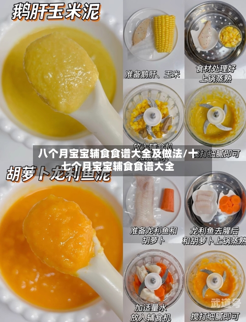 八个月宝宝辅食食谱大全及做法/十七个月宝宝辅食食谱大全