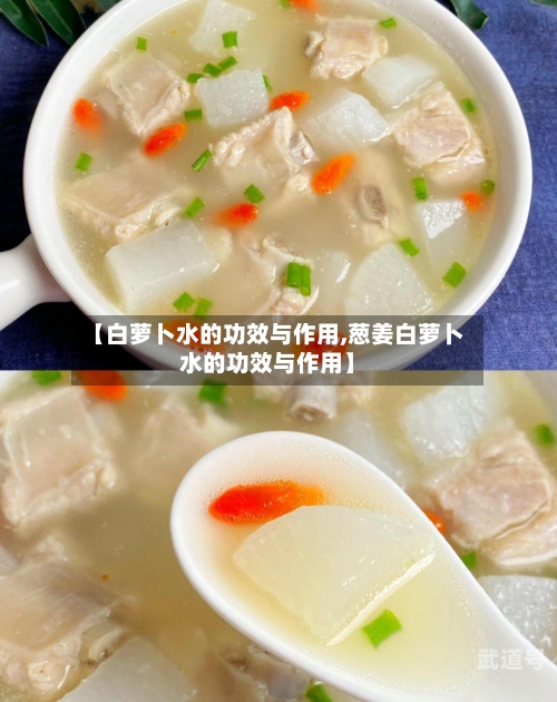 【白萝卜水的功效与作用,葱姜白萝卜水的功效与作用】