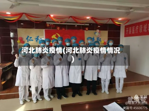 河北肺炎疫情(河北肺炎疫情情况)-第3张图片