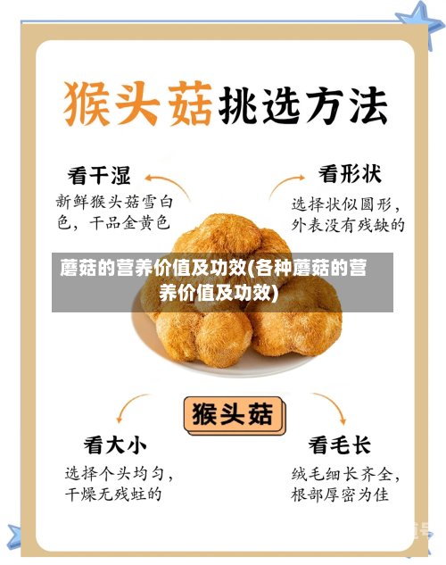 蘑菇的营养价值及功效(各种蘑菇的营养价值及功效)