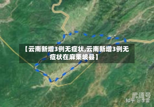 【云南新增3例无症状,云南新增3例无症状在麻栗坡县】