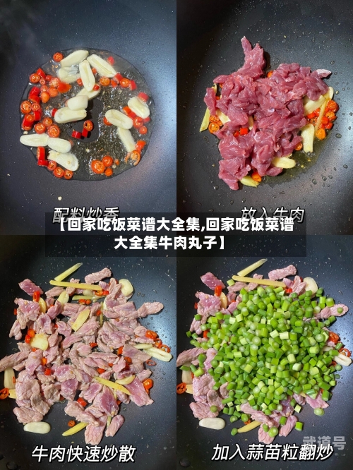 【回家吃饭菜谱大全集,回家吃饭菜谱大全集牛肉丸子】