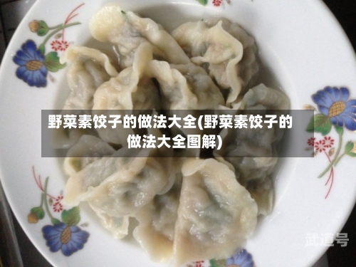 野菜素饺子的做法大全(野菜素饺子的做法大全图解)