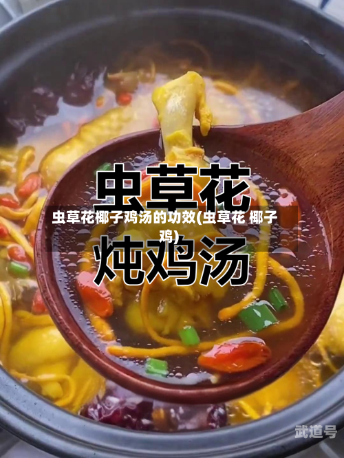 虫草花椰子鸡汤的功效(虫草花 椰子鸡)