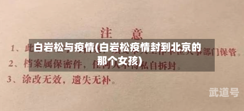 白岩松与疫情(白岩松疫情封到北京的那个女孩)