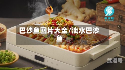 巴沙鱼图片大全/淡水巴沙鱼