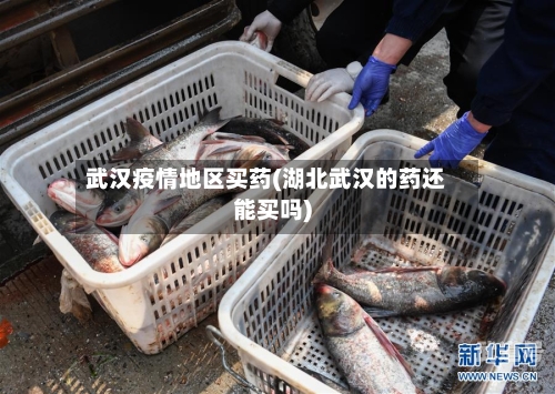 武汉疫情地区买药(湖北武汉的药还能买吗)