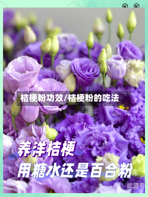 桔梗粉功效/桔梗粉的吃法