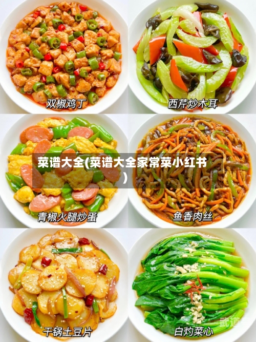 菜谱大全(菜谱大全家常菜小红书)