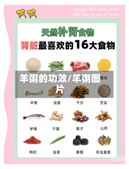 羊粥的功效/羊粥图片