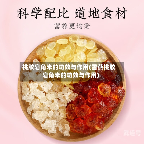 桃胶皂角米的功效与作用(雪燕桃胶皂角米的功效与作用)