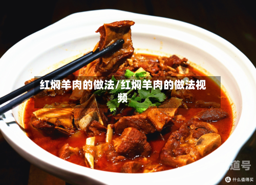 红焖羊肉的做法/红焖羊肉的做法视频