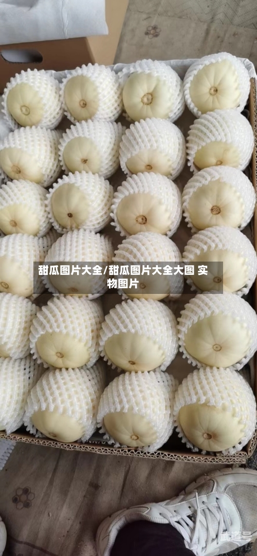 甜瓜图片大全/甜瓜图片大全大图 实物图片