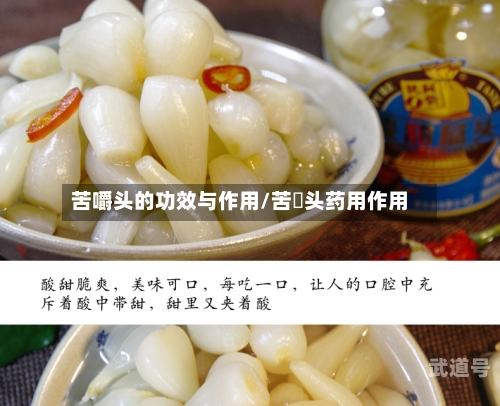 苦嚼头的功效与作用/苦祘头药用作用