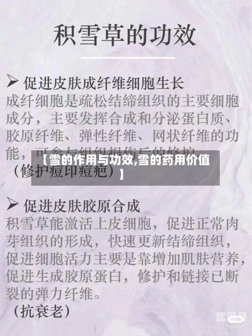 【雪的作用与功效,雪的药用价值】