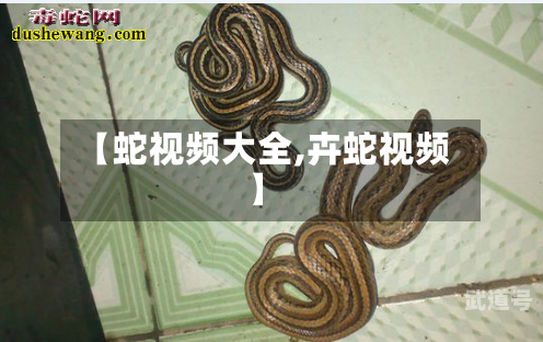 【蛇视频大全,卉蛇视频】