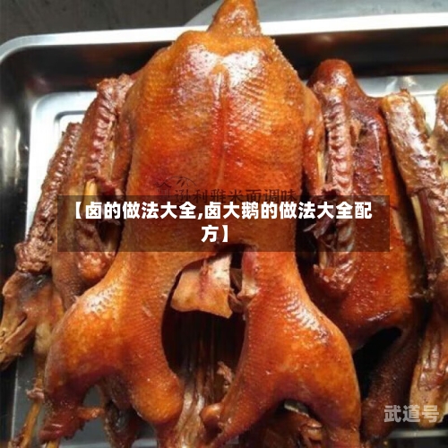 【卤的做法大全,卤大鹅的做法大全配方】