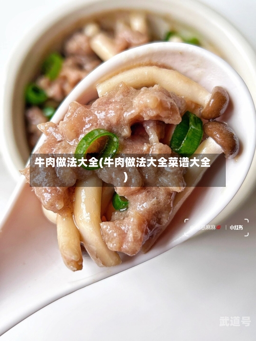 牛肉做法大全(牛肉做法大全菜谱大全)