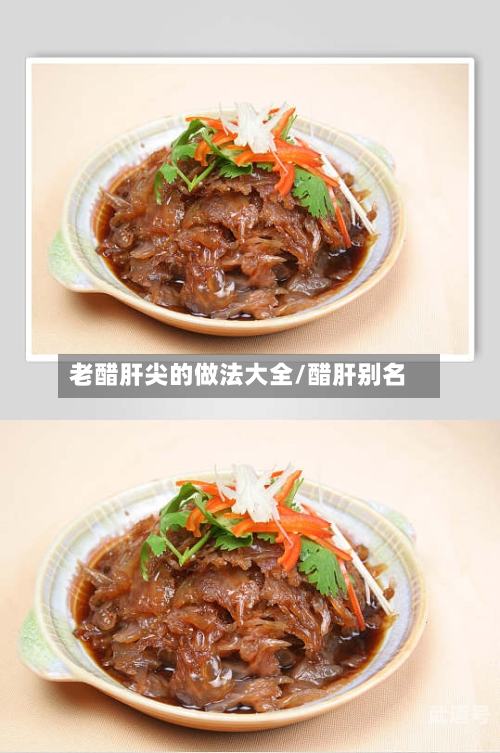 老醋肝尖的做法大全/醋肝别名