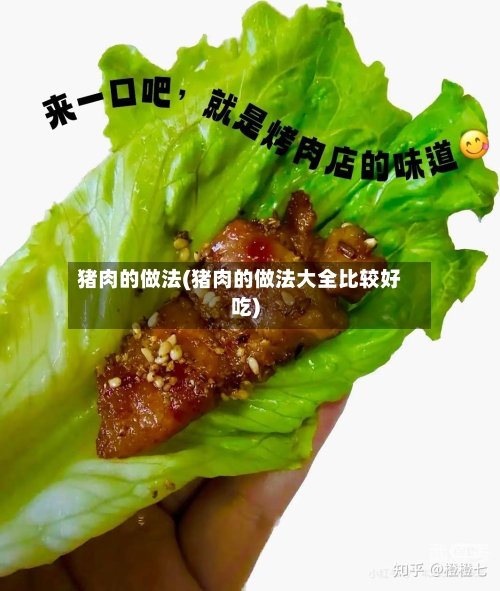猪肉的做法(猪肉的做法大全比较好吃)