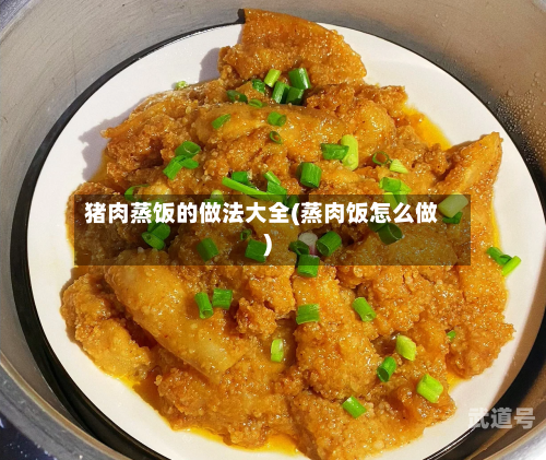 猪肉蒸饭的做法大全(蒸肉饭怎么做)