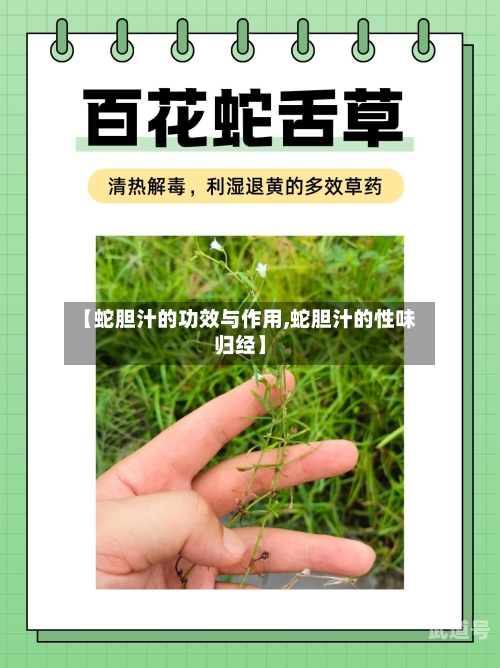 【蛇胆汁的功效与作用,蛇胆汁的性味归经】