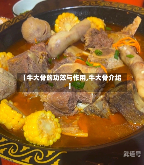 【牛大骨的功效与作用,牛大骨介绍】