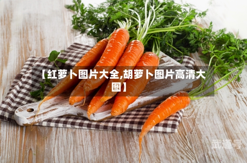 【红萝卜图片大全,胡萝卜图片高清大图】