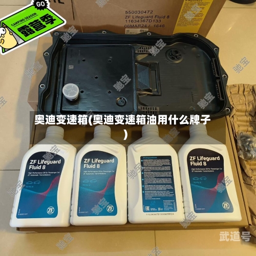 奥迪变速箱(奥迪变速箱油用什么牌子)