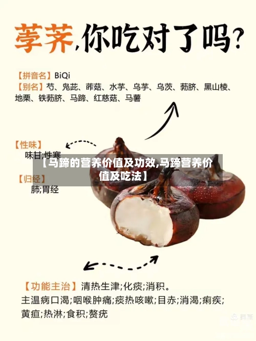 【马蹄的营养价值及功效,马蹄营养价值及吃法】