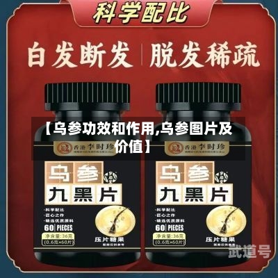 【乌参功效和作用,乌参图片及价值】