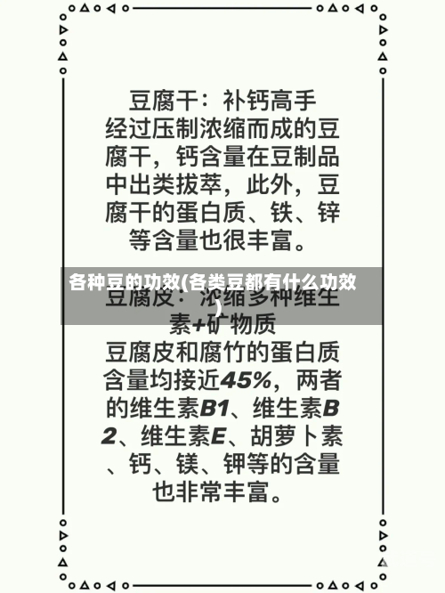 各种豆的功效(各类豆都有什么功效)