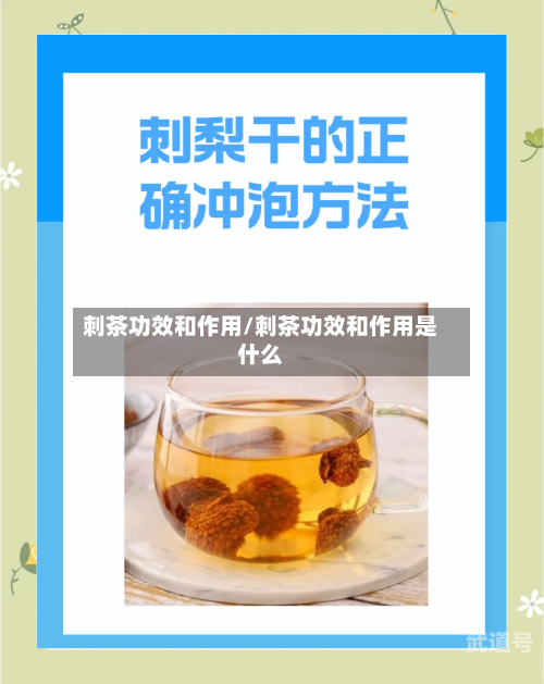 刺茶功效和作用/刺茶功效和作用是什么