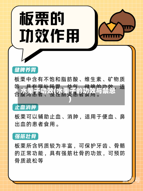 水栗子功效(水栗子的功效与禁忌)