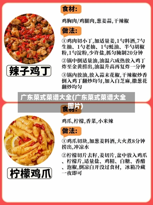 广东菜式菜谱大全(广东菜式菜谱大全图片)