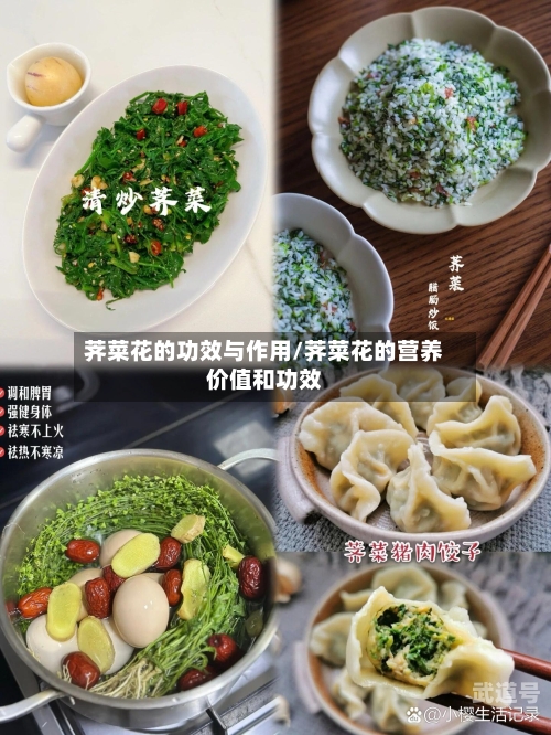 荠菜花的功效与作用/荠菜花的营养价值和功效