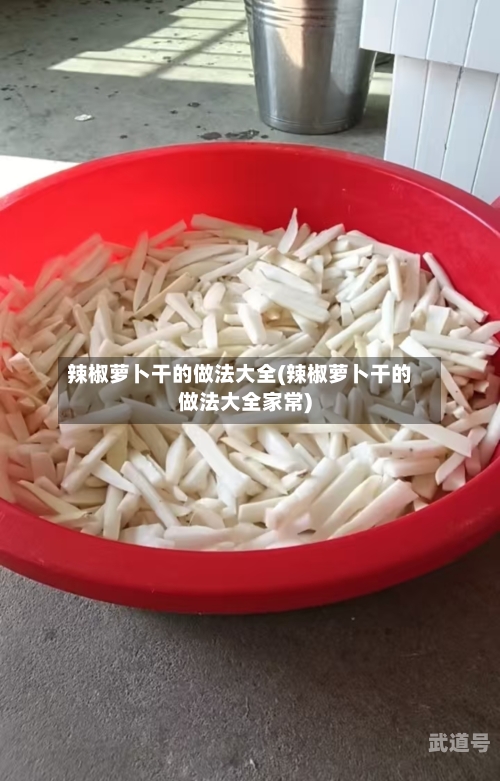 辣椒萝卜干的做法大全(辣椒萝卜干的做法大全家常)