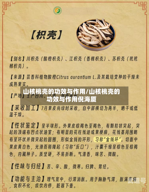 山核桃壳的功效与作用/山核桃壳的功效与作用倪海厦
