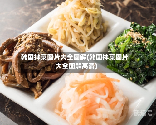韩国拌菜图片大全图解(韩国拌菜图片大全图解高清)