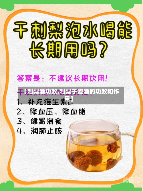 【刺梨酒功效,刺梨子泡酒的功效和作用】
