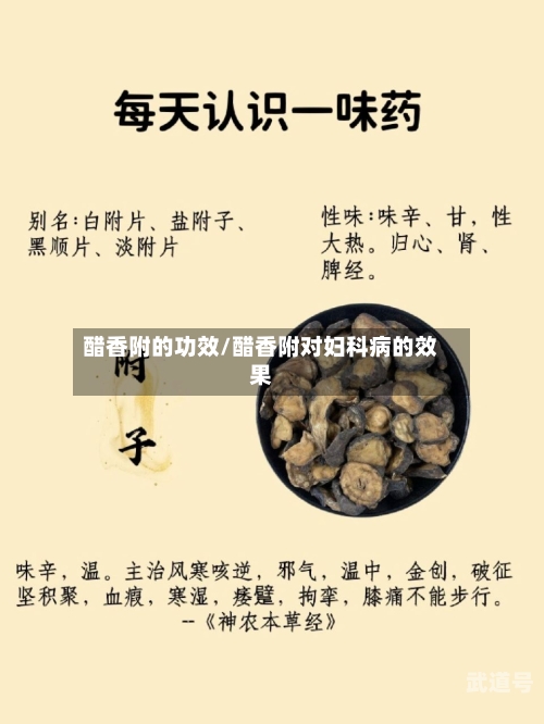 醋香附的功效/醋香附对妇科病的效果-第2张图片