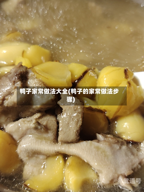 鸭子家常做法大全(鸭子的家常做法步骤)