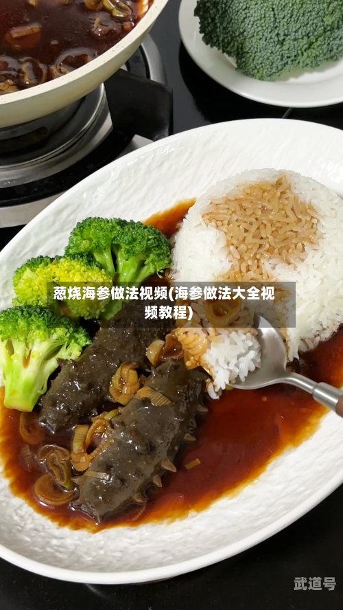 葱烧海参做法视频(海参做法大全视频教程)