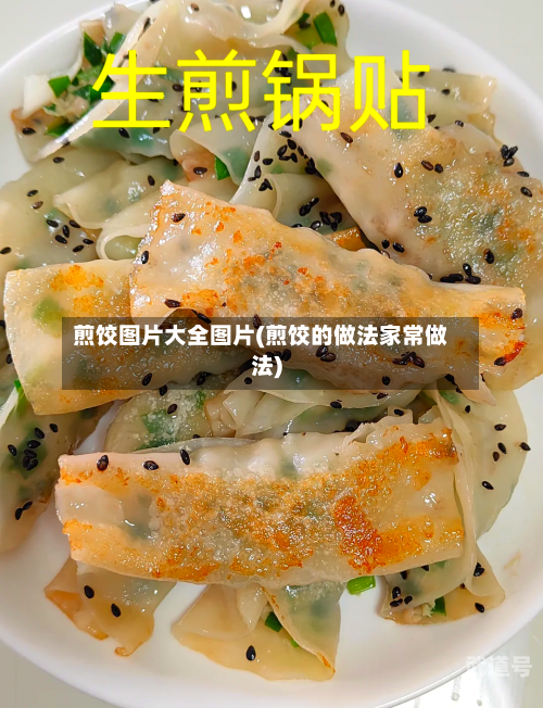 煎饺图片大全图片(煎饺的做法家常做法)